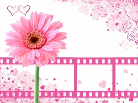 pink-background-with-film-clips.jpg